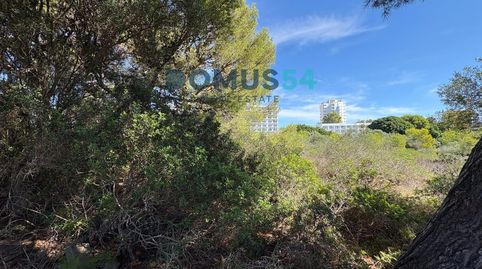 Photo 3 of Land for sale in Cales de Mallorca, Manacor