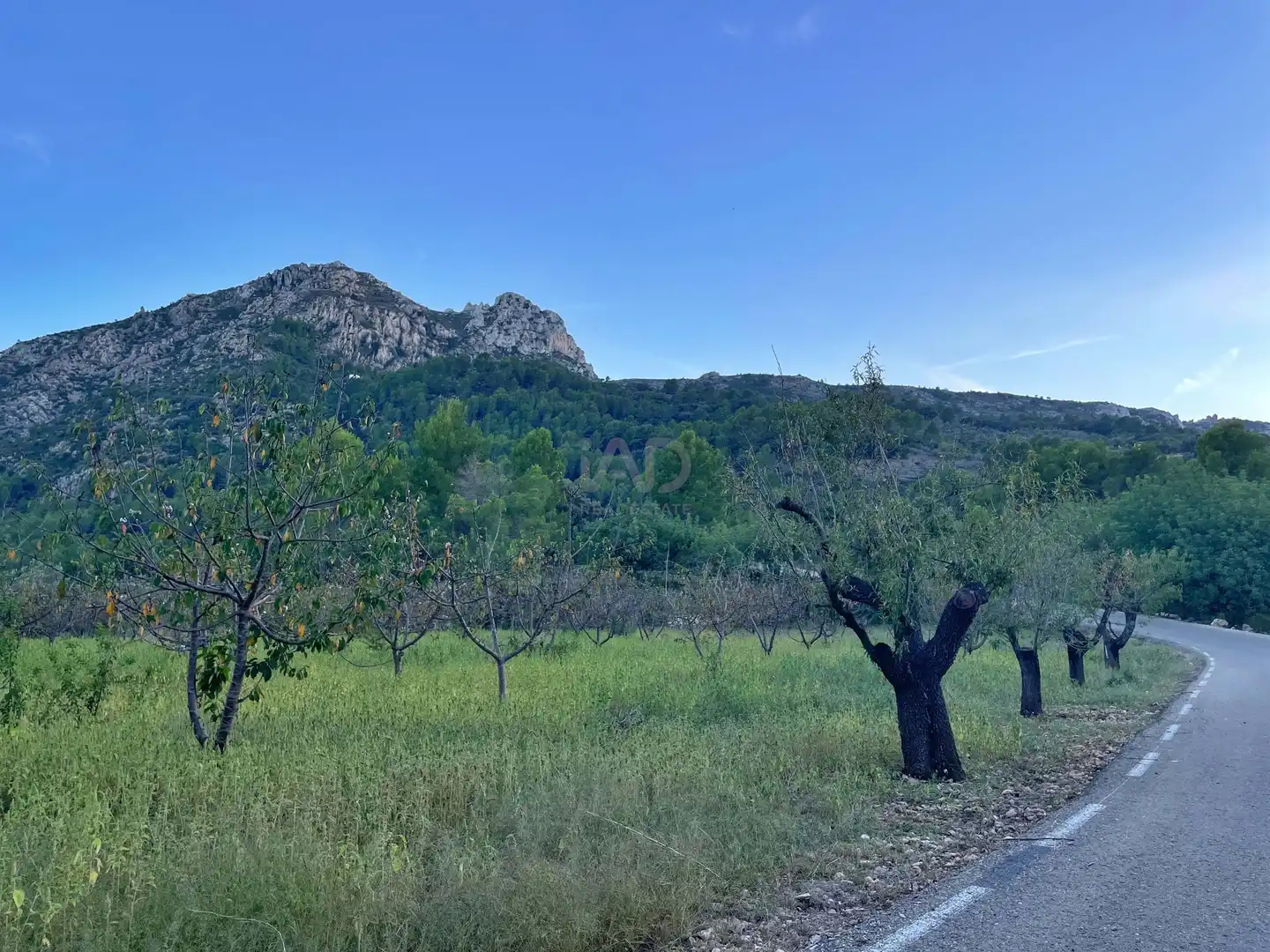 Residencial en venta en Murla