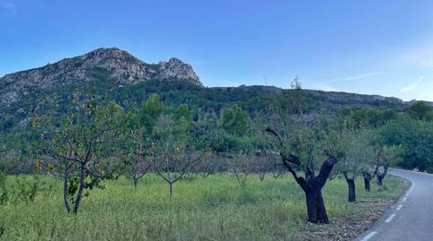 Foto 4 de Residencial en venta en Murla, Alicante