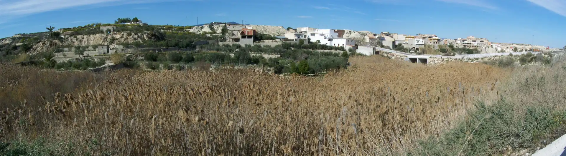 Land for sale in Albudeite