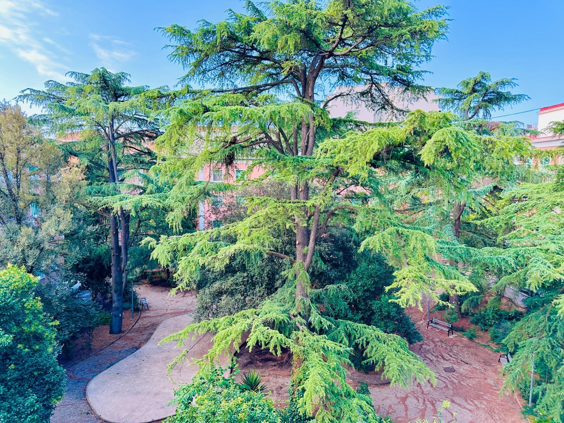 Jardí de Pis en venda en Terrassa amb Calefacció i Balcó
