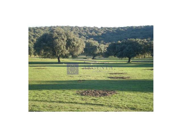 Casa-chalet en Venta en Poligono 8 Paraje 77 Grupo 2 Prejigo en Monroy