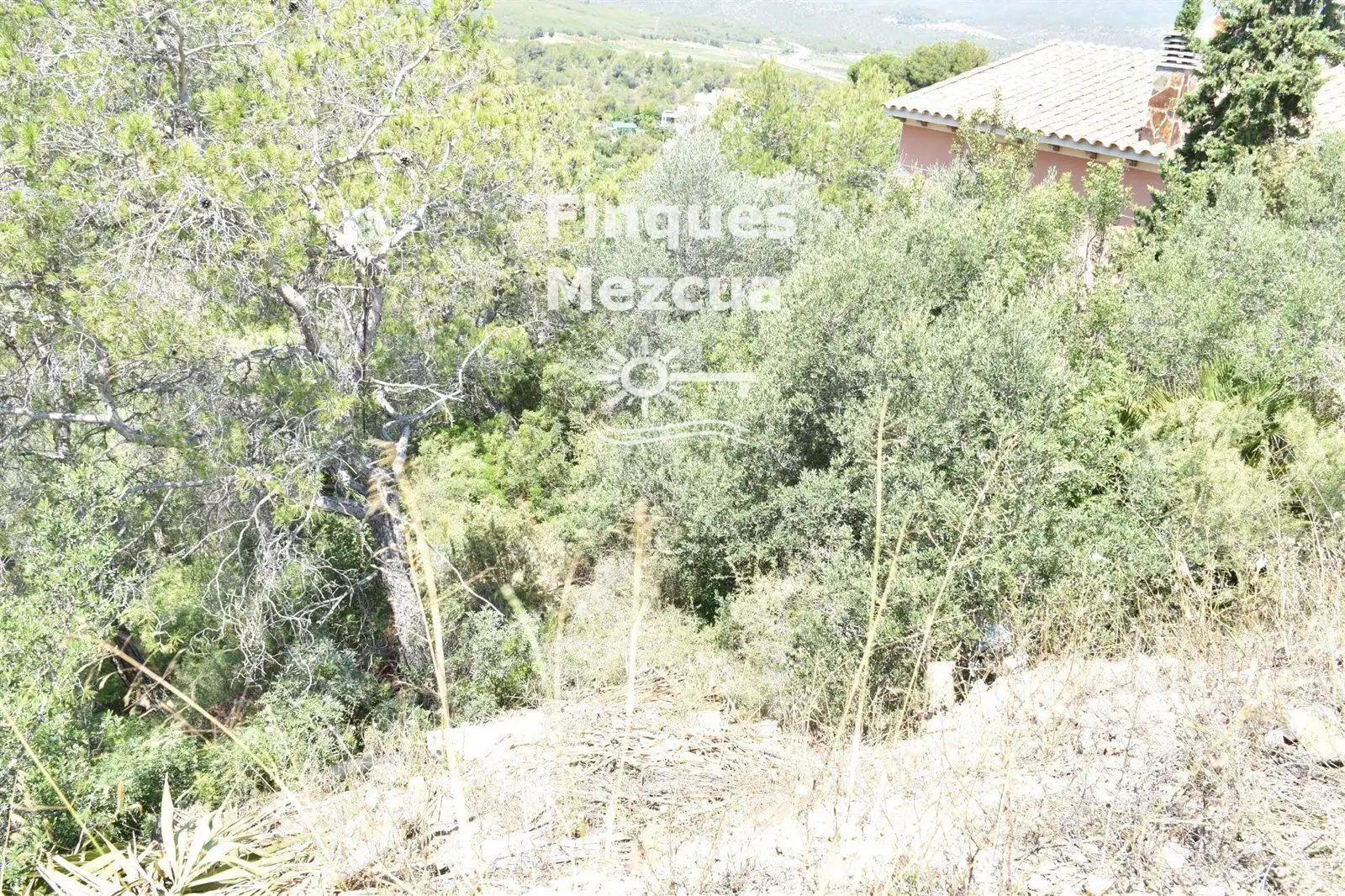 Rural land for sale in TER-UR CAN GORDEI, imagen 2