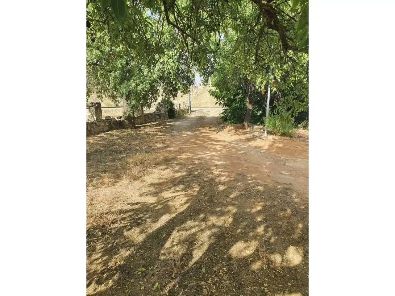 Finca rústica en venta en Torreperogil