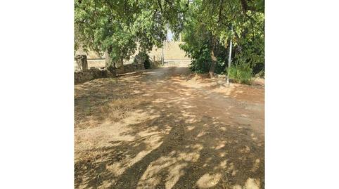Foto 3 de Finca rústica en venda a Torreperogil, Jaén