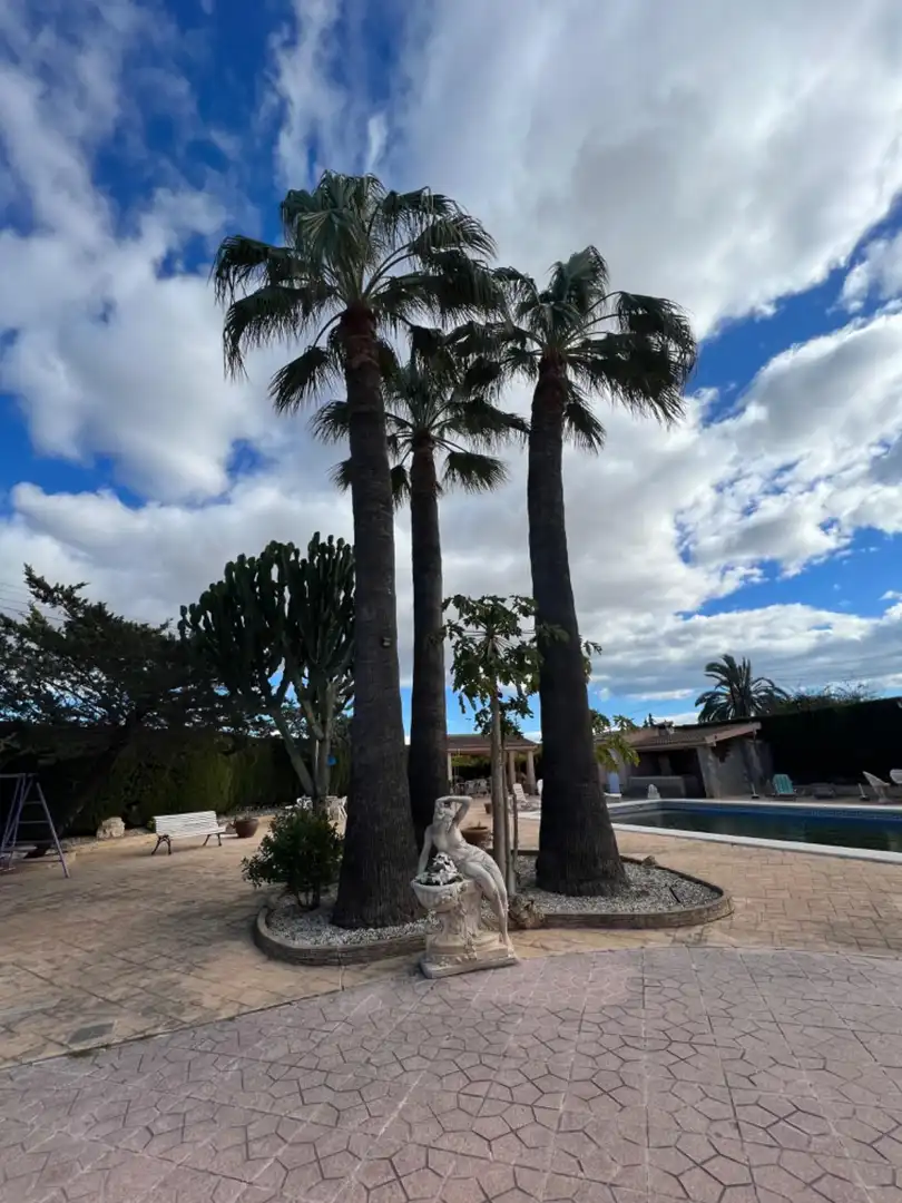 Garden of Houses for sale in Elche / Elx  with Heating, Terrace and Storage room