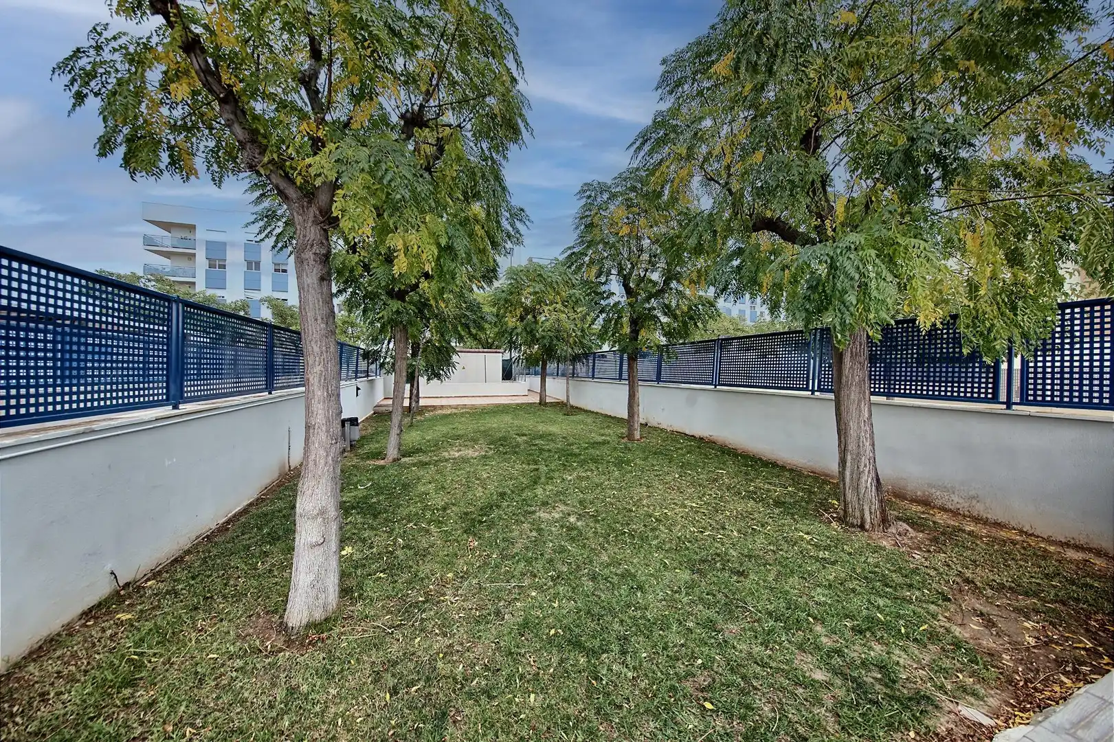 Piso con terraza en venta en Calle PUIG EL, imagen 37