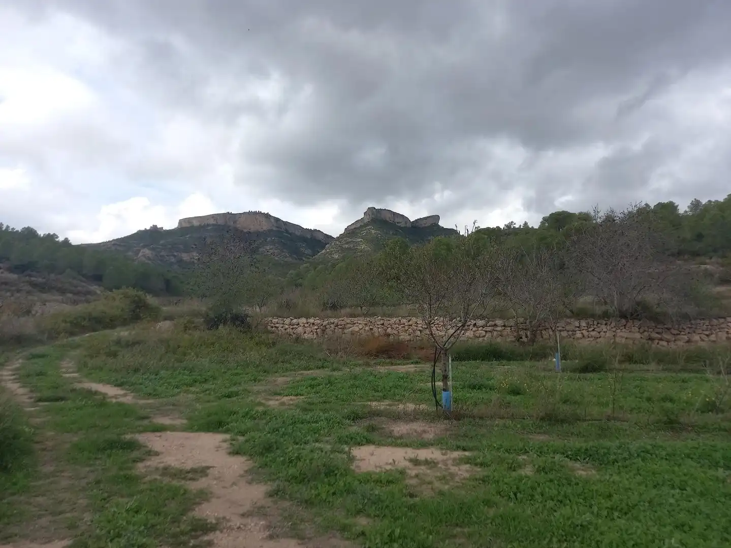 Rural land for sale in El Pinell de Brai, imagen 8
