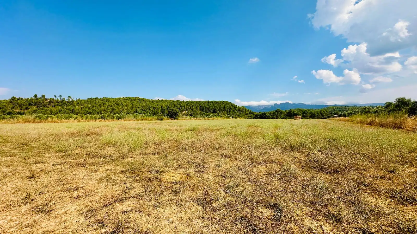 Terreno rustico in vendita a Lledó, imagen 6