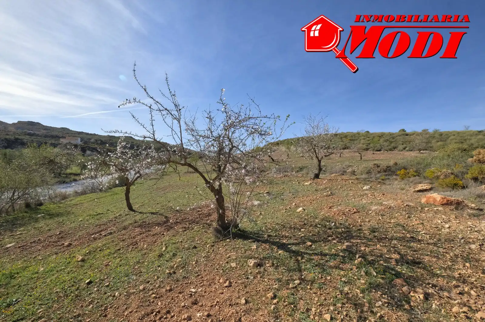 Terreni e lotti in vendita a El Valle, imagen 13