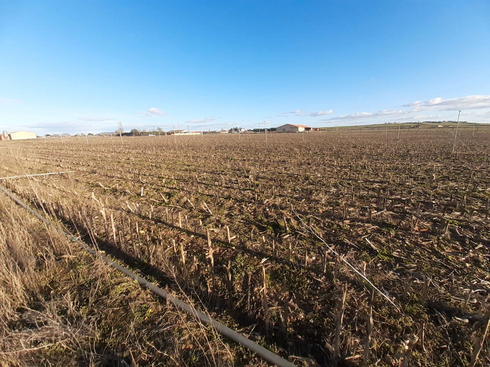 Terreno en venta en Villaralbo