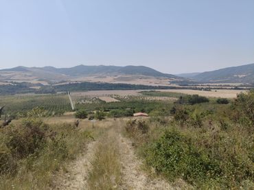Terrain rustique à vendre à Etxauri - POLIGONO 1 PARCELA 305 ETXAURI