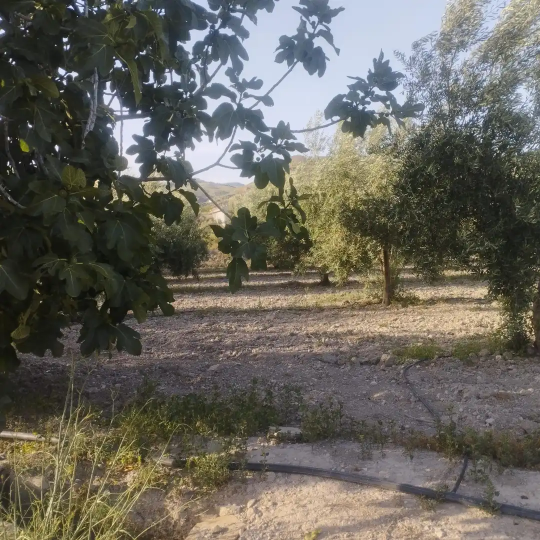 Country homes for sale in Lúcar  with Private garden and Storage room