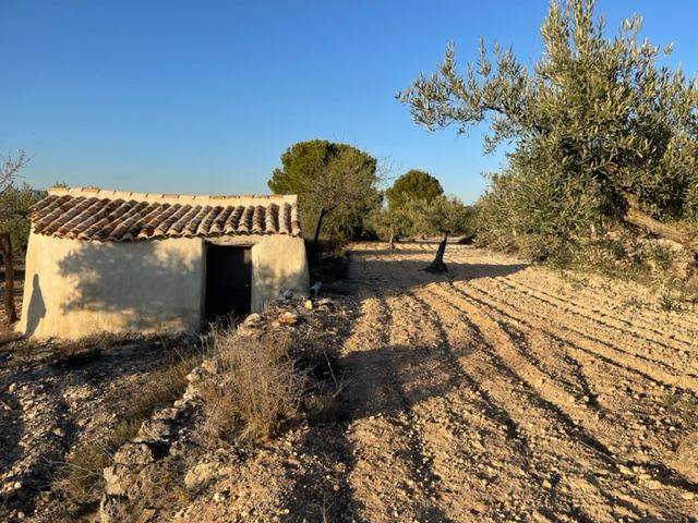 Terreno en Venta en N/A, -1 en Biar