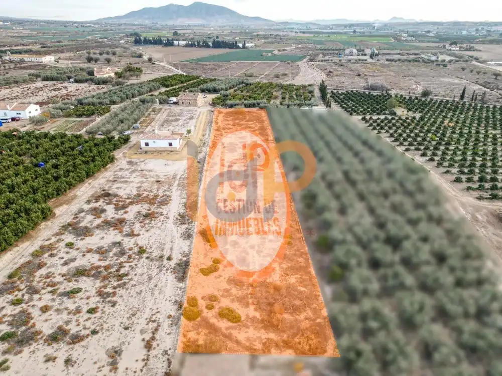 Rural land for sale in Huércal-Overa, imagen 2