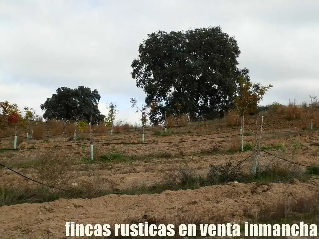 Terreni e lotti in vendita a Torrijos, imagen 13