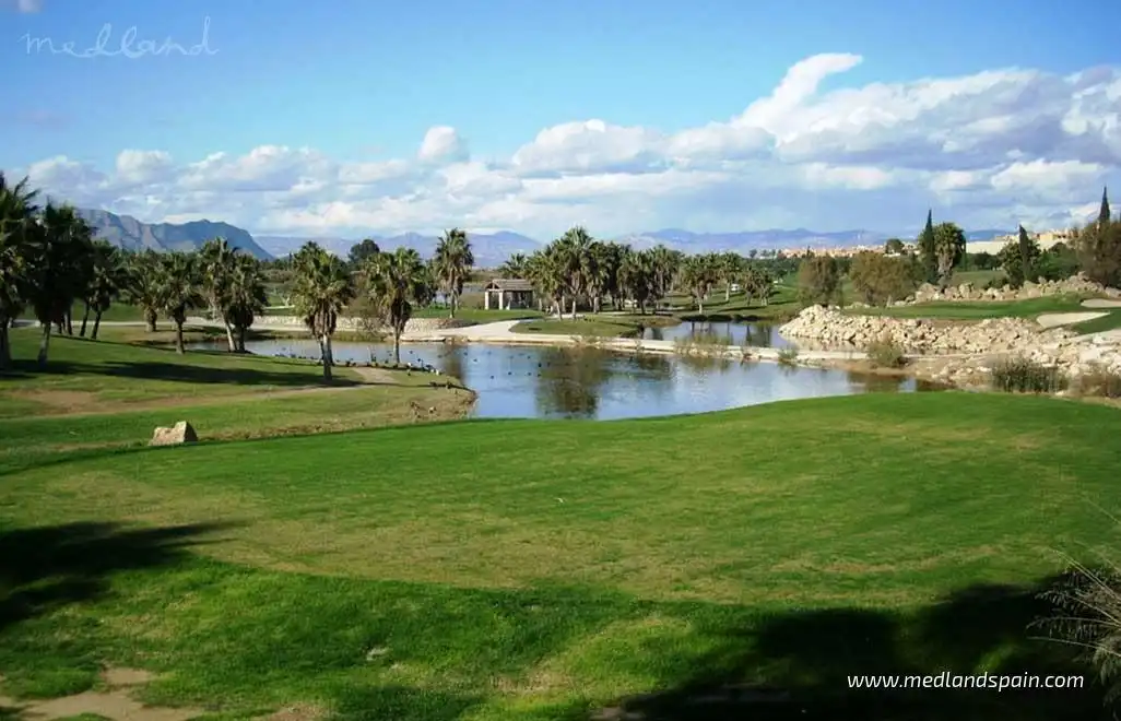 Houses for sale in Algorfa