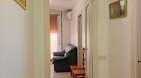 Foto 4 de Piso de alquiler en El Valle - Universidad, Jaén Capital