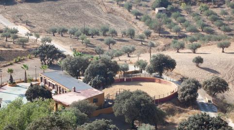 Foto 3 de Finca rústica en venta en Monda, Málaga