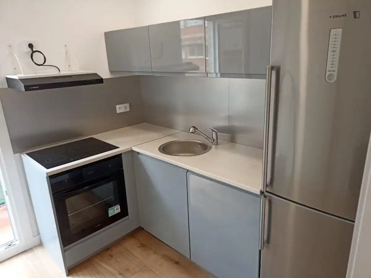 Kitchen of Apartments for rent in L'Hospitalet de Llobregat  with Furnished, Oven and Washing machine