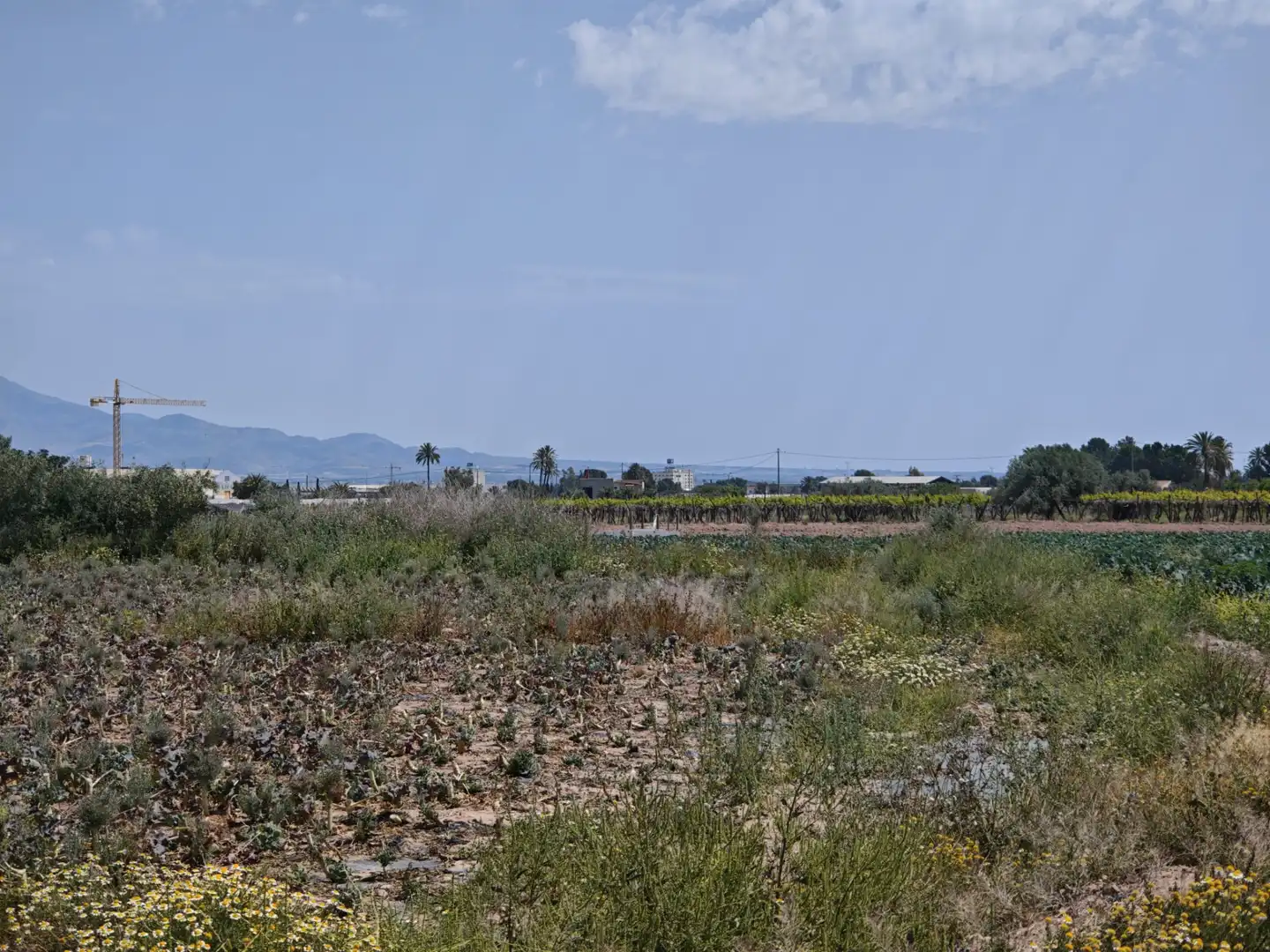 Terrenys i solars en venda a Totana, imagen 5