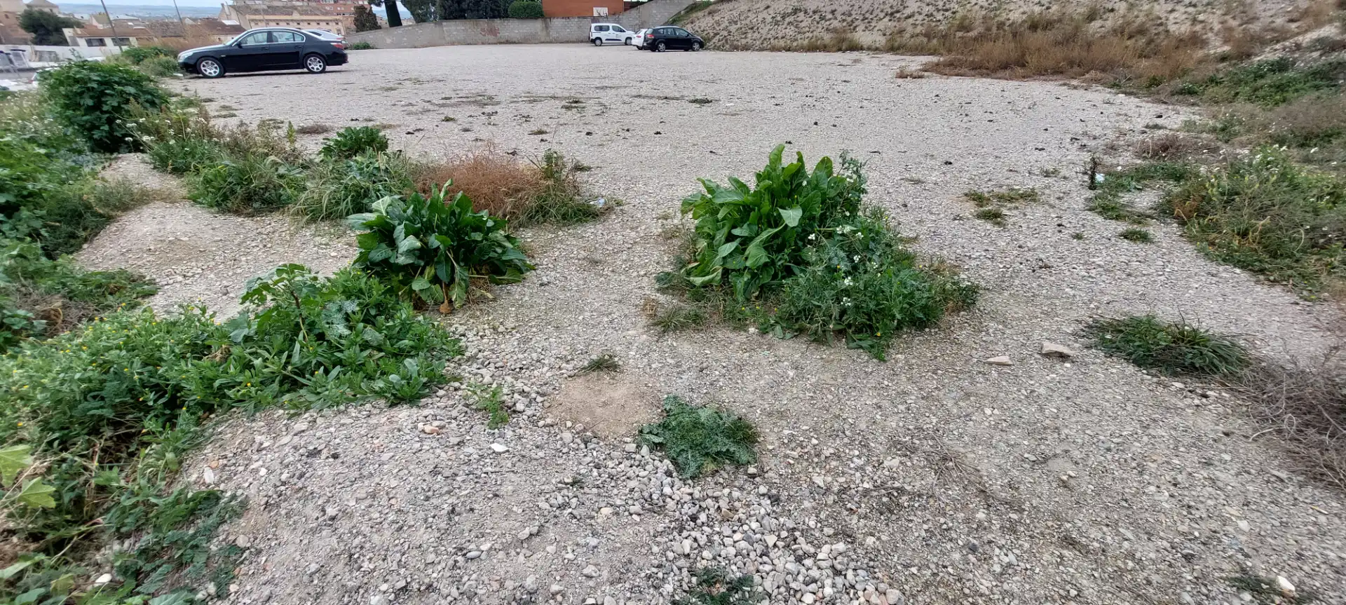 Wohnbaugrundstück zum Verkauf in Tàrrega