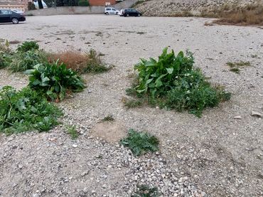 Terreny residencial en venda a Tàrrega