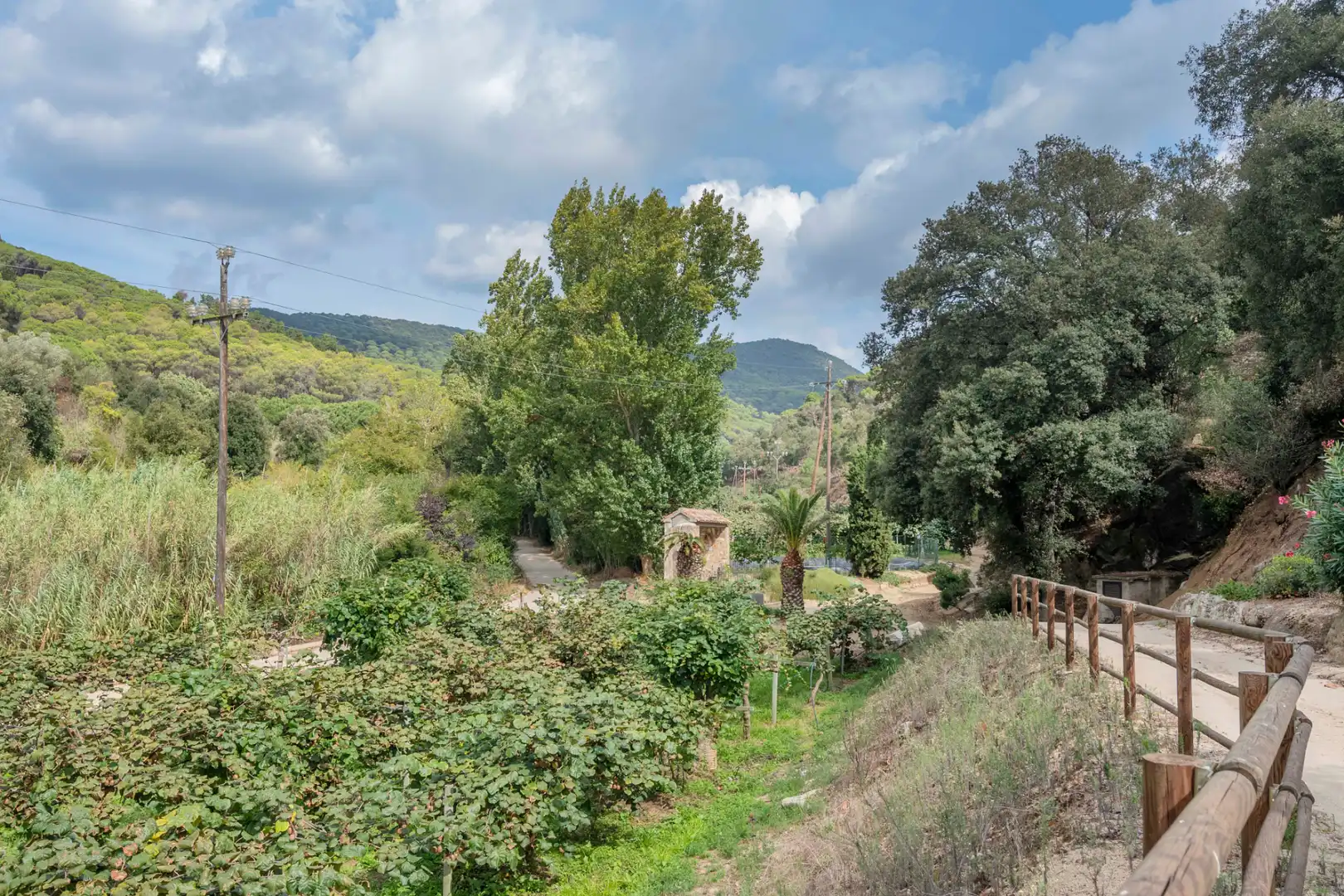 Casa rústica con piscina en venta en Camí Can Cabot de Munt, imagen 8