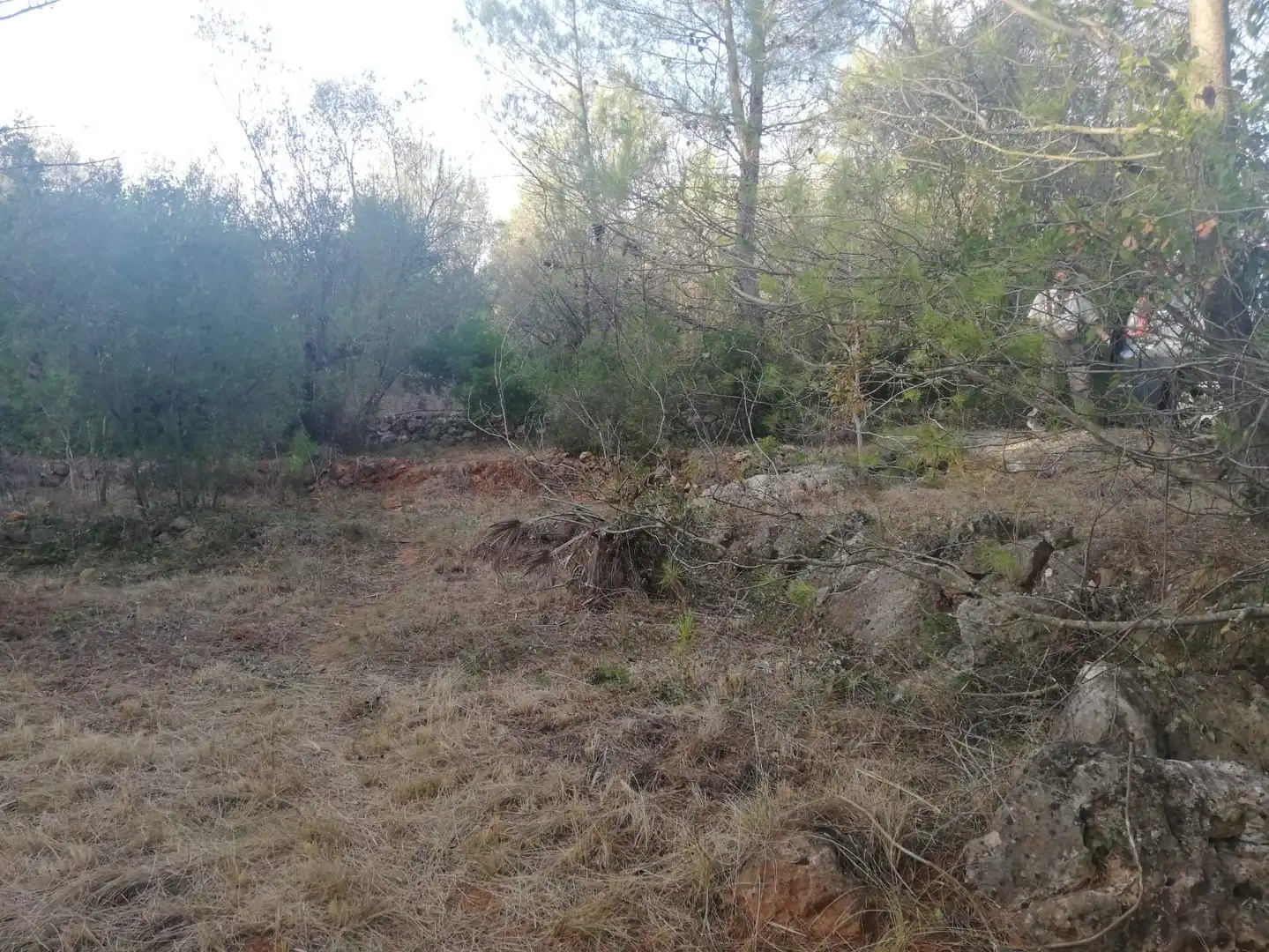 Rural land for sale in Vilallonga / Villalonga, imagen 12