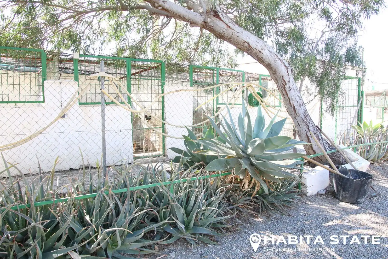 Garden of Residential for sale in Pechina