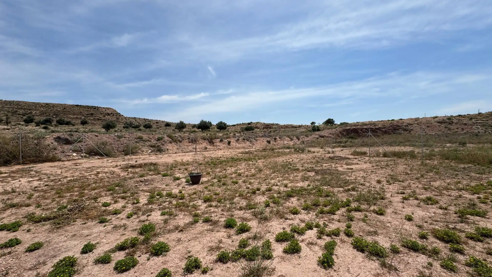Finca rústica en venda en Novelda