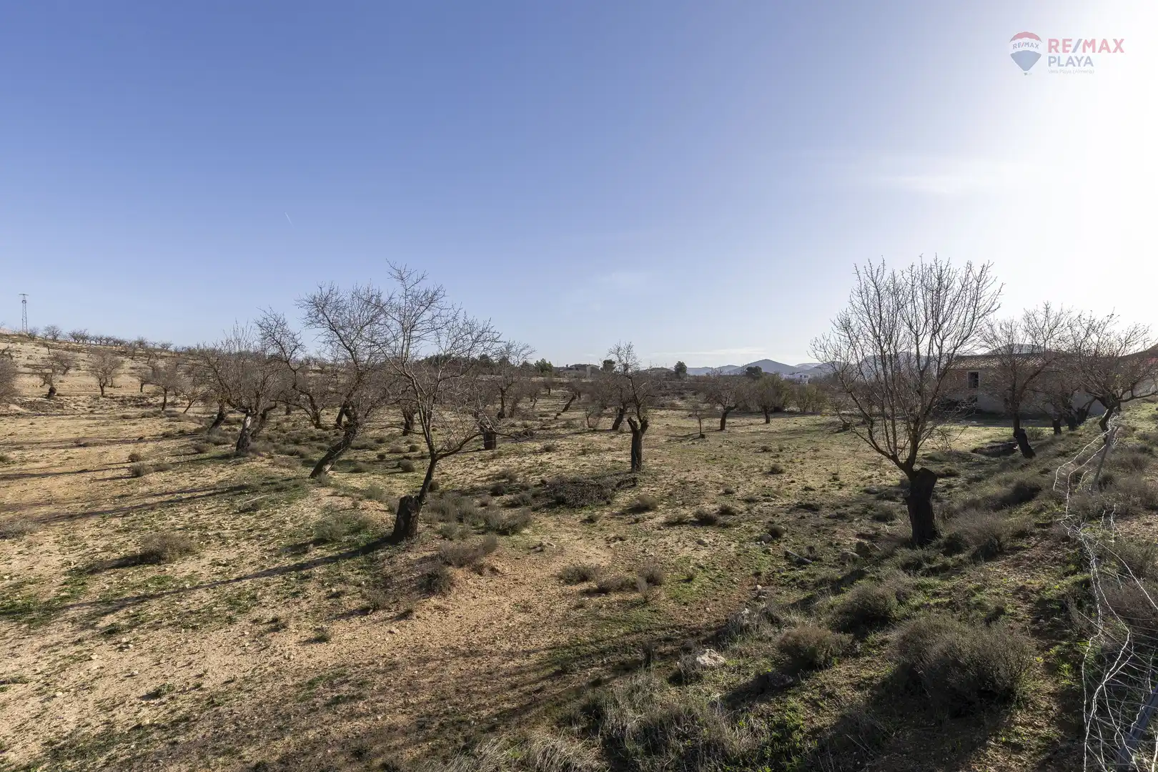Rural land for sale in Paraje el Vivero 1, imagen 13