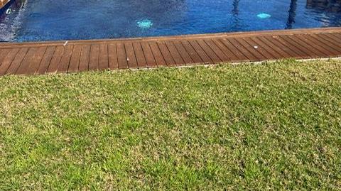 Foto 5 de Planta baja en venta en Platges, La Ràpita