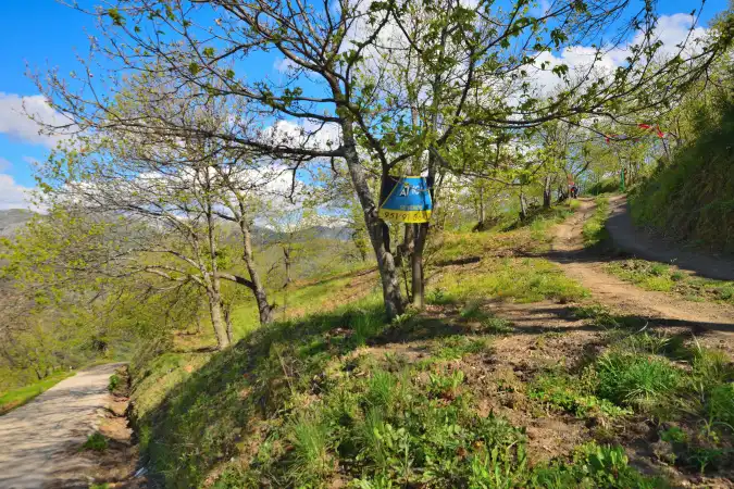 Außenansicht von Country house zum Verkauf in Ronda mit Privatgarten