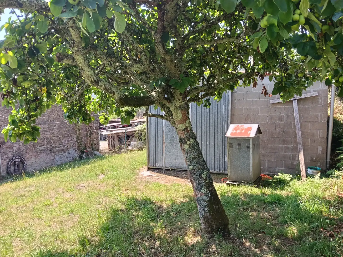 Adossat amb jardí en venda a Cesuras, imagen 16