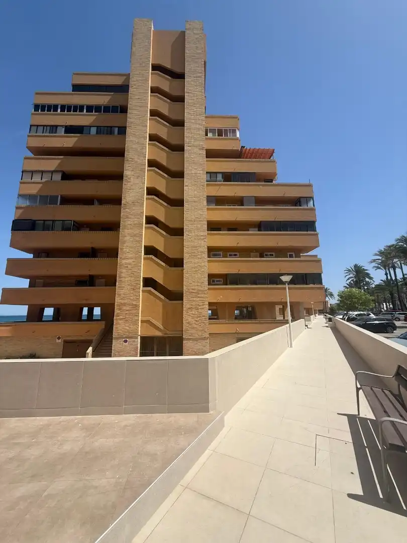 Exterior view of Study for sale in Elche / Elx  with Terrace, Furnished and TV