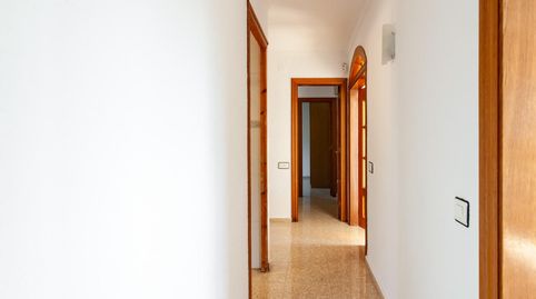 Foto 5 de Casa o xalet de lloguer a Camino Cami Reial, Canyelles, Barcelona