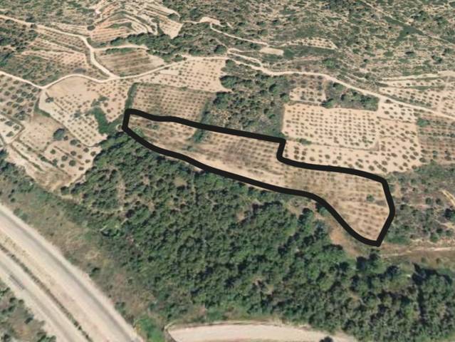 Terreno en Venta en Autovía Mudéjar, 2 en Benafer