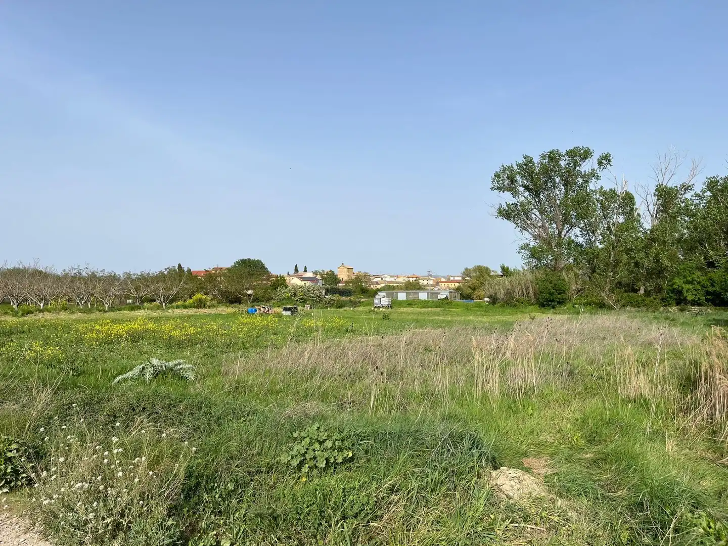 Residential for sale in Beire