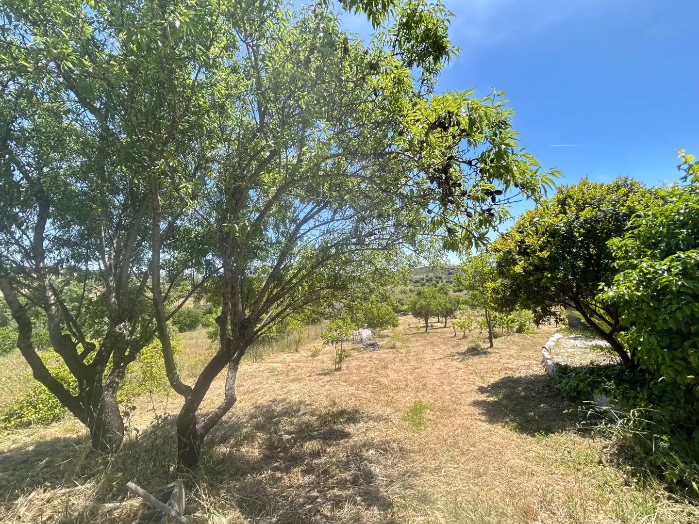 Finca rústica en venda en Cadalso de los Vidrios amb Jardí privat i Moblat