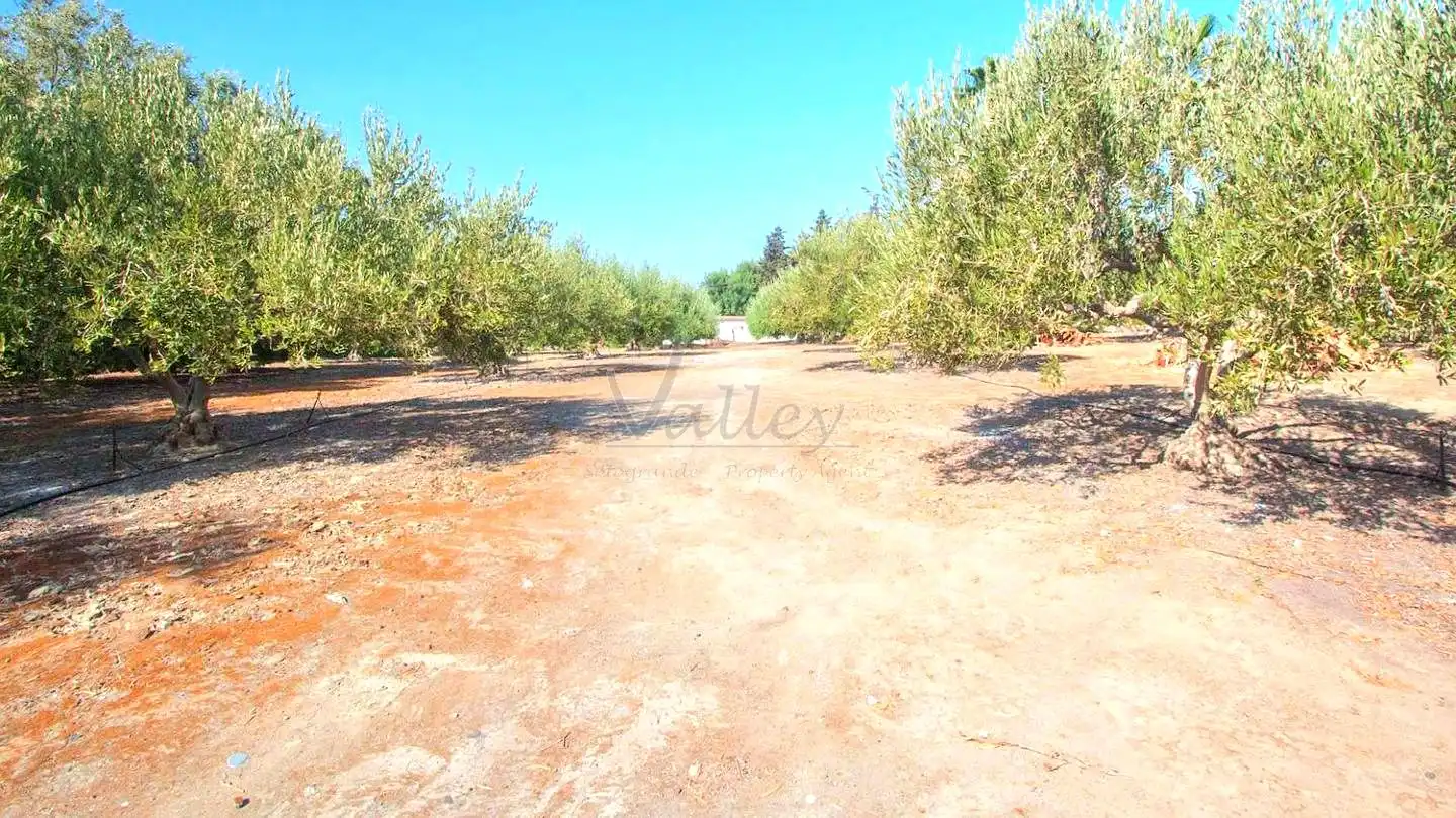 Finca rústica en venda en Estepona amb Jardí privat, Terrassa i Traster