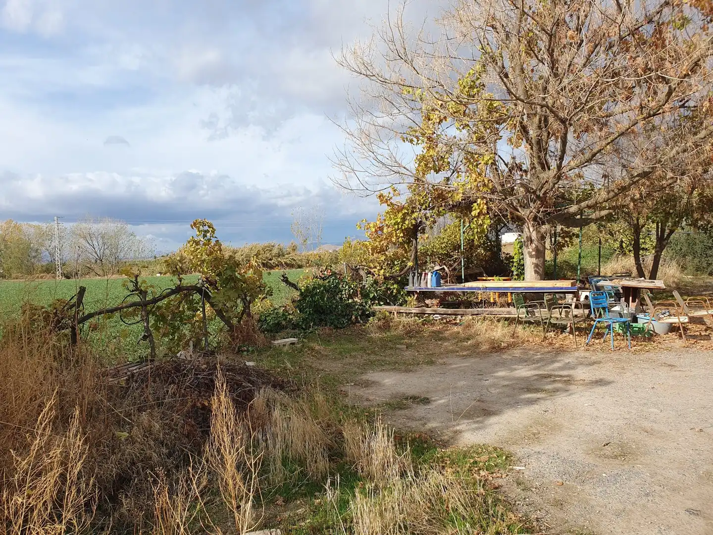 Rural land for sale in Maracena, imagen 14