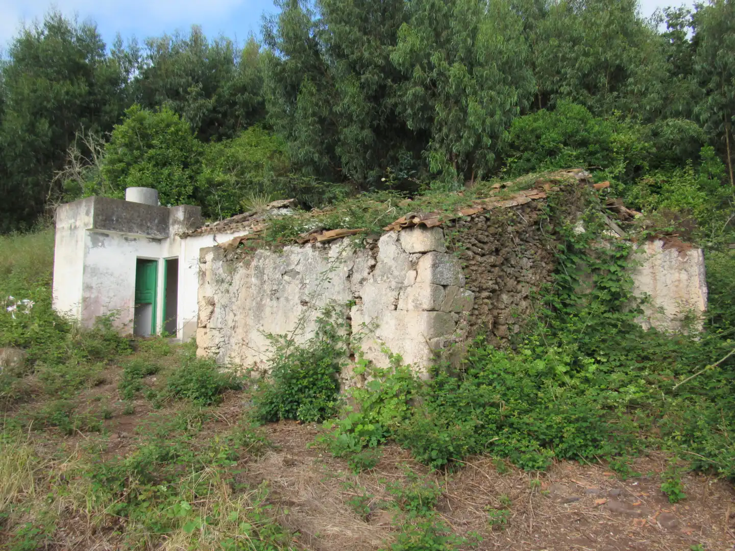 Exterior view of Land for sale in Moya (Las Palmas)