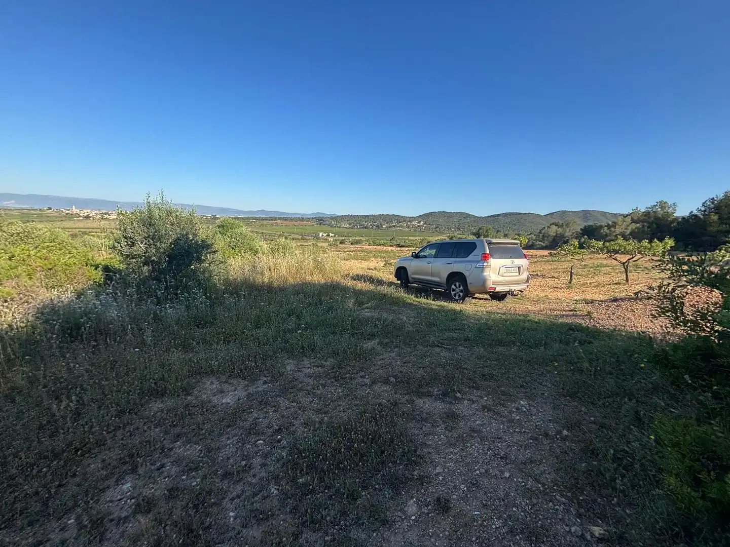 Rural land for sale in Camí de Rodonya 3, imagen 2