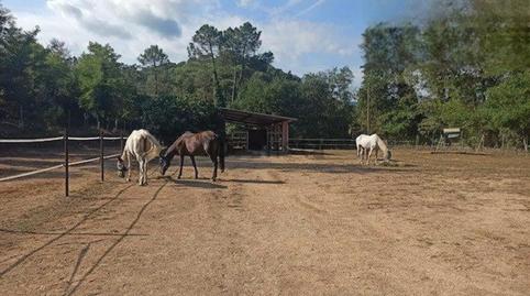 Foto 2 de Finca rústica en venda a Urbanitzacio Pc Princeps I, 402, Fogars de la Selva, Barcelona