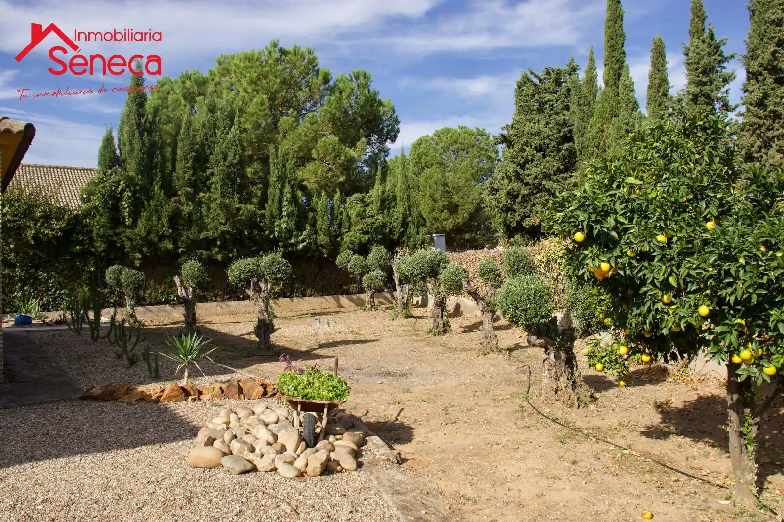 Jardí de Casa o xalet en venda en Córdoba amb Aire condicionat, Calefacció i Traster
