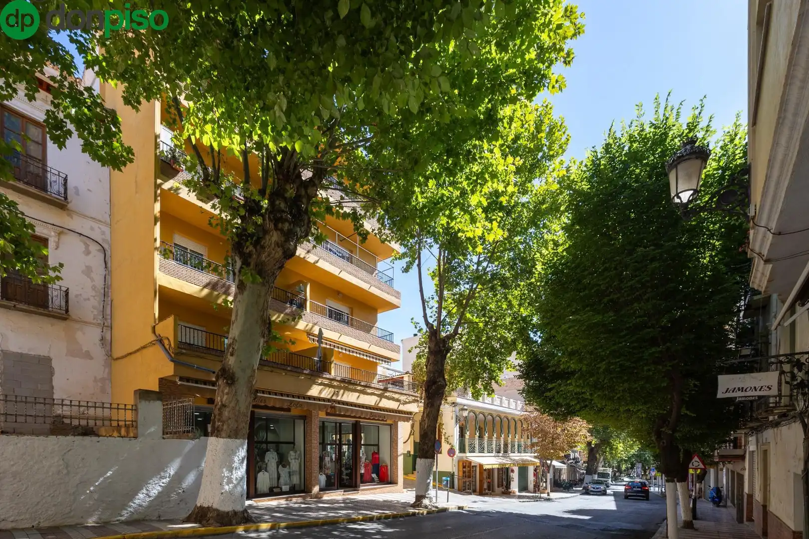 Vista exterior de Apartamento en venta en Lanjarón