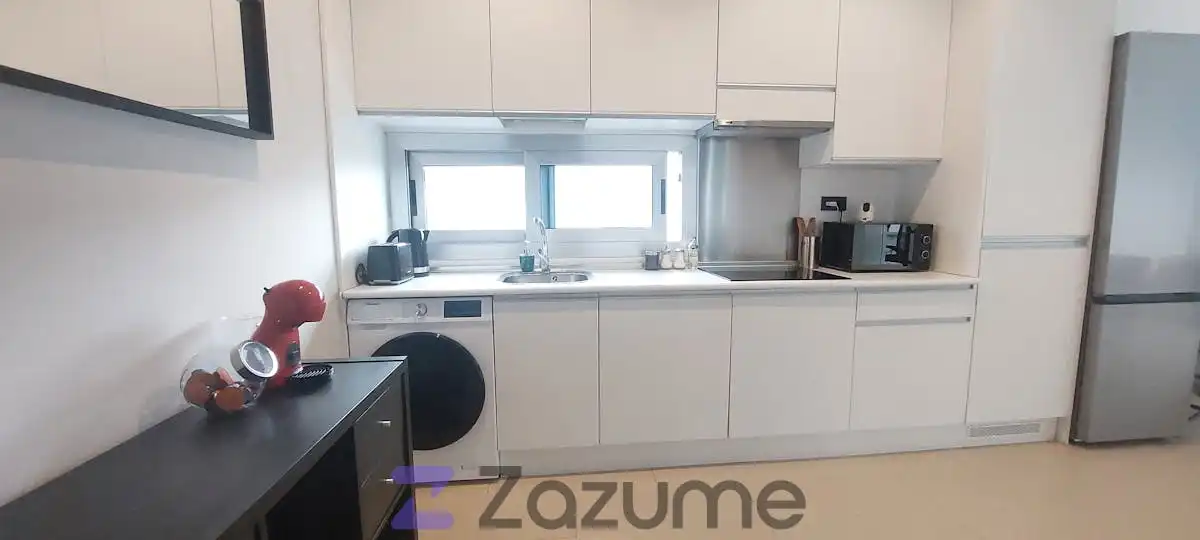 Cuina de Loft de lloguer en Madrid amb Aire condicionat, Calefacció i Jardí privat