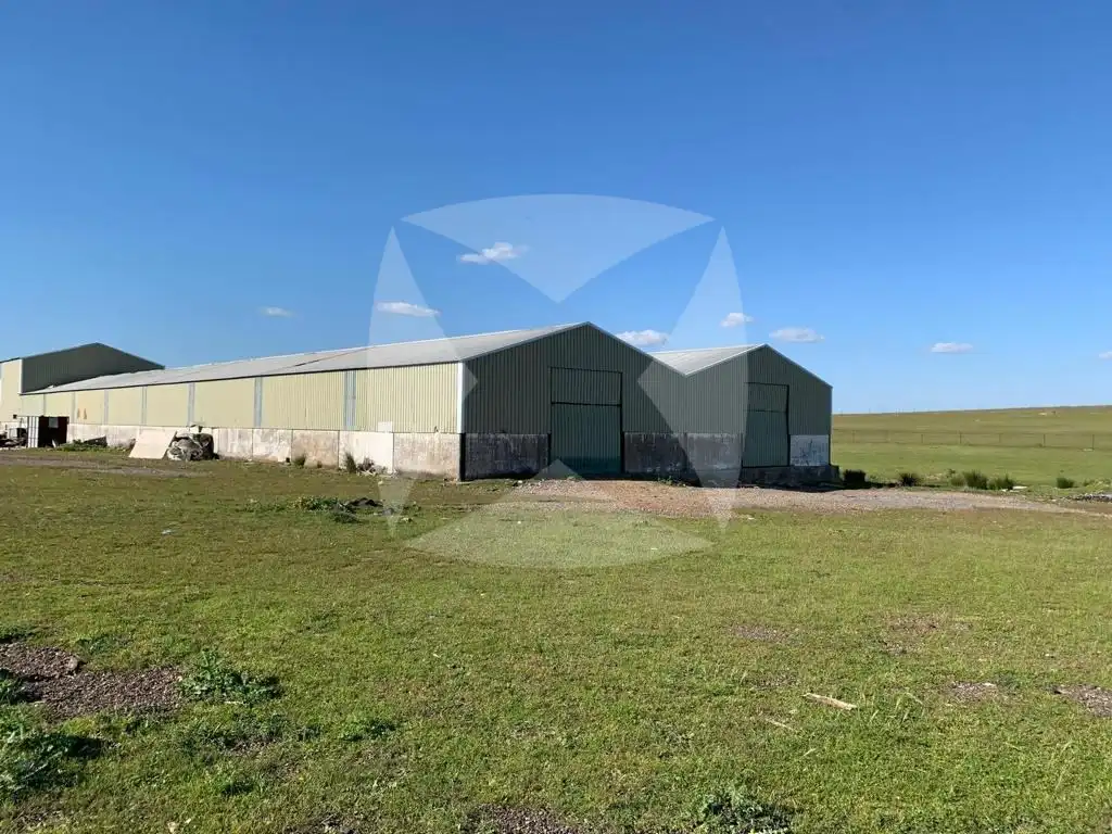 Industrial buildings for rent in Olivenza, Olivenza