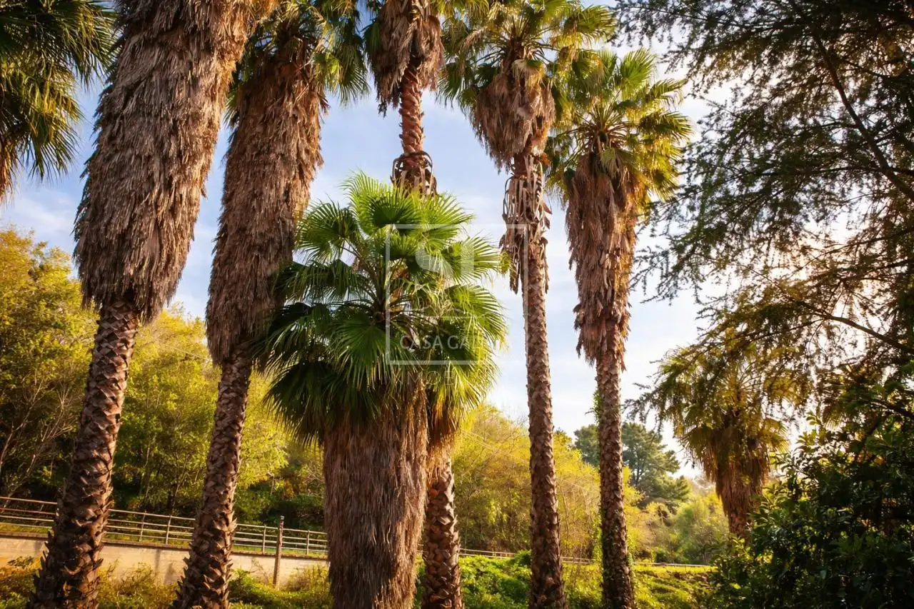 Jardín de Casa o chalet en venta en Vigo  con Calefacción, Jardín privado y Parquet